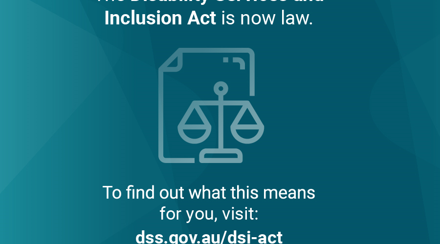 Disability Services and Inclusion Act 2023